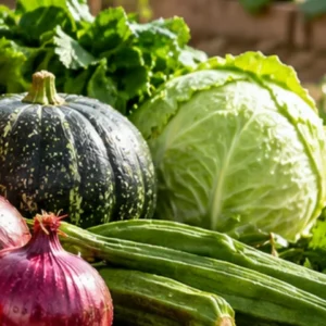 Cabbage, pumpkin and okra from the Diet Voice farm