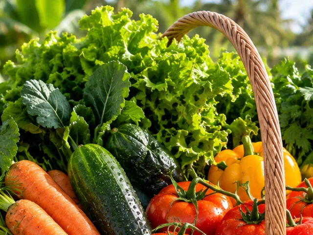 Bundle of fresh leafy greens and lettuce
